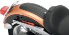 Skin Fender Gatr Fxd06-17