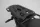 SW-MOTECH-ADVENTURE-RACK-BLACK-Benelli-TRK-502-X
