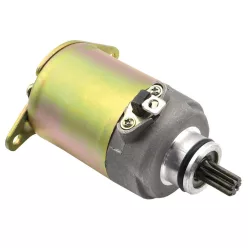   Electromotor Tecnium Kymco PEOPLE 125 S/AGILITY 125 CARRY și altele 15608