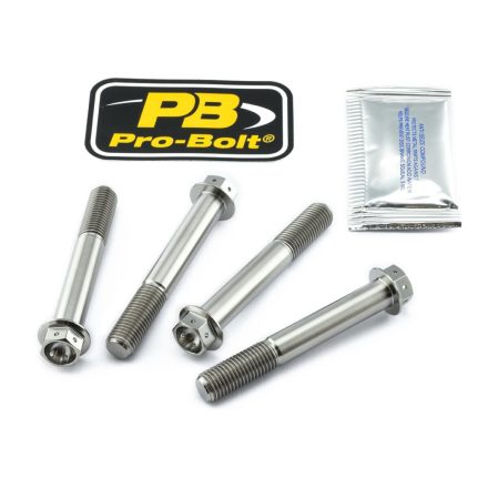 Pro Bolt Bolt Kit Front Brake Mount Tit