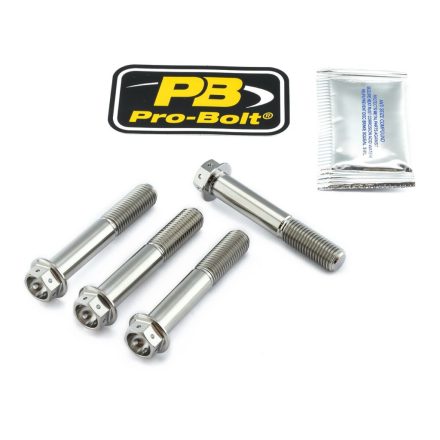 Pro Bolt Bolt Kit Front Brake Mount Tit