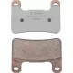 Plăcuțe frână DP Brakes RDP sinterizate racing RDP947