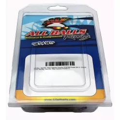 Kit reparație etrier frână All Balls 18-3072