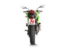 Akrapovic Muffler Ti Ninja 250Sl S-K2So8-Cubt