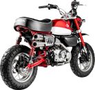 MUFFLER SS MONKEY AKRAPOVIC S-H125SO5-FFT