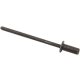 RIVET BLIND SS D3 2x8 BLACK AKRAPOVIC P-BR3