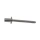 RIVET SS LONG D4 8x12 CLEAR AKRAPOVIC P-BR4