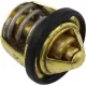 Termostat All Balls 16-3000