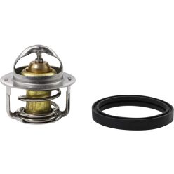 THERMOSTAT POLARIS ALL BALLS 16-3001