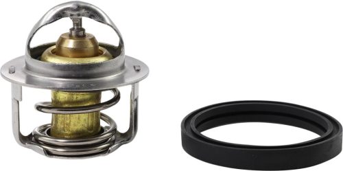 THERMOSTAT POLARIS ALL BALLS 16-3001