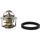 THERMOSTAT POLARIS ALL BALLS 16-3001