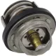 Termostat All Balls 16-3002