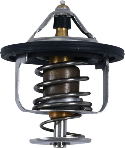 THERMOSTAT POLARIS ALL BALLS 16-3004