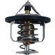 THERMOSTAT POLARIS ALL BALLS 16-3004
