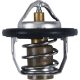 THERMOSTAT POLARIS ALL BALLS 16-3005