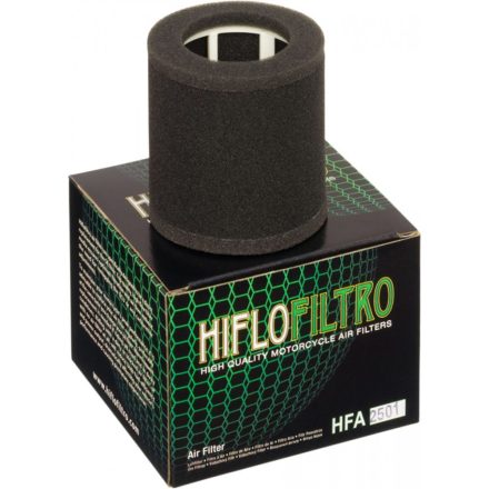 Filtru-De-Aer-Hiflofiltro-Hfa2501