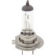 Bulb H7 55W Halogen