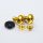 Pro Bolt Bolt Kit Lic Plate M6X16 Gold