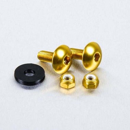 Pro Bolt Bolt Kit Lic Plate M6X16 Gold