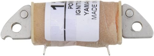 Alternator RICK'S MOTORSPORT ELECTRIC 22-903