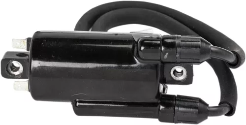 Bobină inducție RICK'S MOTORSPORT ELECTRIC 23-108