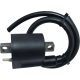 Ignition Coil Ho/Ka