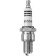 Bujie NGK 8196 SPARK PLUG DCPR6EIX