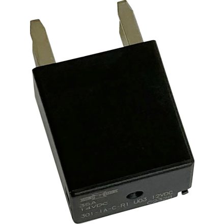 RELAY LIGHTNG 31595-09