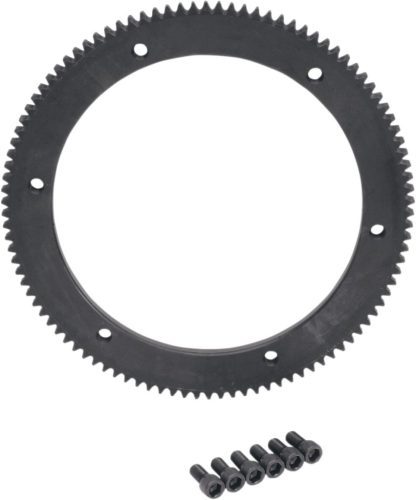 Gear Ring 102T 98-06Bt