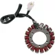 Alternator RICK'S MOTORSPORT ELECTRIC 21-106