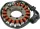 Stator RICK'S MOTORSPORT ELECTRIC 21-221