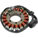 Stator RICK'S MOTORSPORT ELECTRIC 21-221