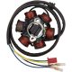 Stator Can-Am