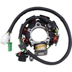 Generator/Stator RICK'S MOTORSPORT ELECTRIC 21-930