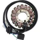 Alternator RICK'S MOTORSPORT ELECTRIC 21-822