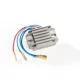 Alternator RICK'S MOTORSPORT ELECTRIC 10-027