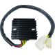 Reg/Rectifier Ho