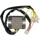 Alternator RICK'S MOTORSPORT ELECTRIC 10-214
