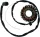 Alternator RICK'S MOTORSPORT ELECTRIC 21-216