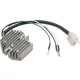 Alternator RICK'S MOTORSPORT ELECTRIC 10-100