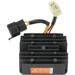 Alternator RICK'S MOTORSPORT ELECTRIC 10-216