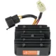 Alternator RICK'S MOTORSPORT ELECTRIC 10-216
