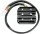 Alternator RICK'S MOTORSPORT ELECTRIC 10-421
