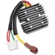 Alternator RICK'S MOTORSPORT ELECTRIC 10-002