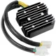 Alternator RICK'S MOTORSPORT ELECTRIC 10-124