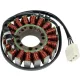 Stator RICK'S MOTORSPORT ELECTRIC 21-120