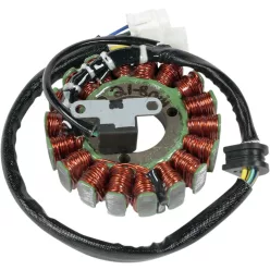 Stator RICK'S MOTORSPORT ELECTRIC 21-801H