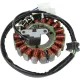 Stator RICK'S MOTORSPORT ELECTRIC 21-801H