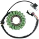 Stator RICK'S MOTORSPORT ELECTRIC 21-905