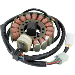 Stator RICK'S MOTORSPORT ELECTRIC 21-916